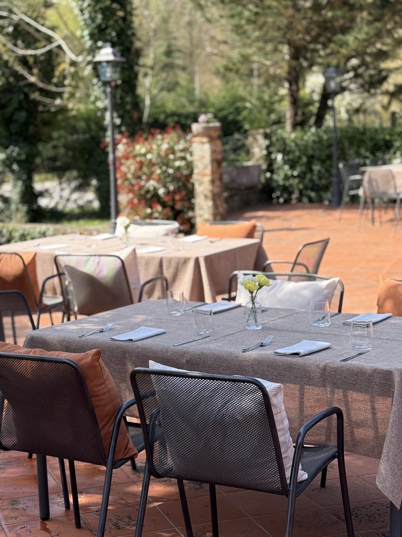 Il giardino e il verde intorno al casale